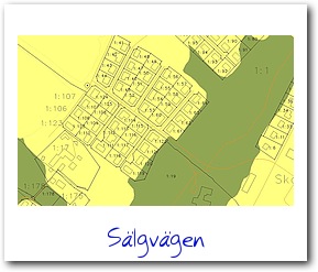 sälgvägen